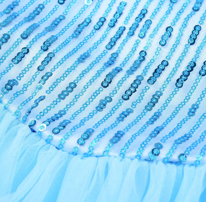 detailed view of blue costume bodice and sparkling textures